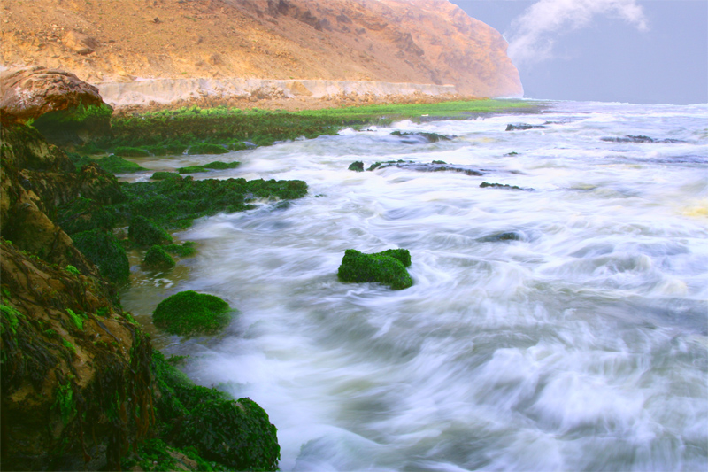 صور من ابداع اعضاء عمان فوتو