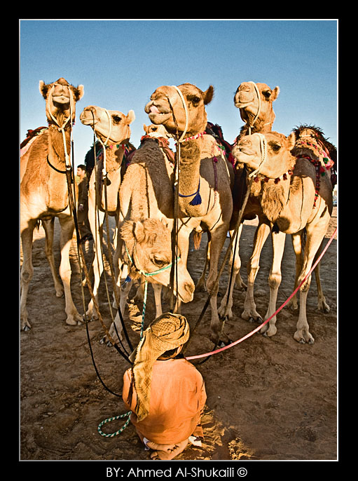 صور من ابداع اعضاء عمان فوتو