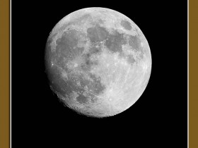 صور من ابداع اعضاء عمان فوتو