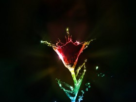 The_Scarlet_Flower_by_Pr3t3nd3r