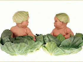 بطاقات الأطفال