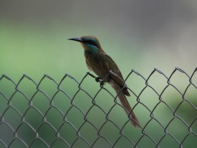 صور من ابداع اعضاء عمان فوتو