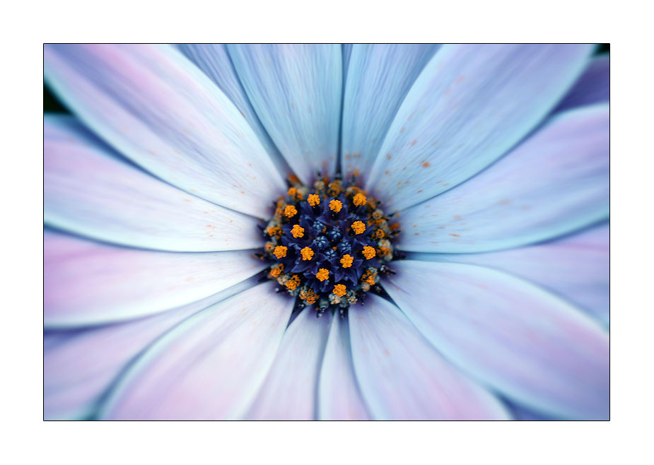 the_blue_style_of_nature