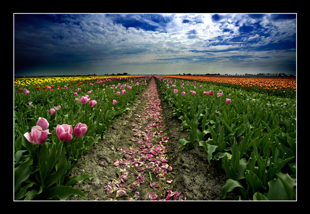 1573477-5e518313cbba5d73_2_