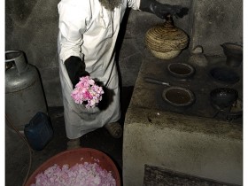 صور من ابداع اعضاء عمان فوتو