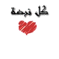 الغلاف