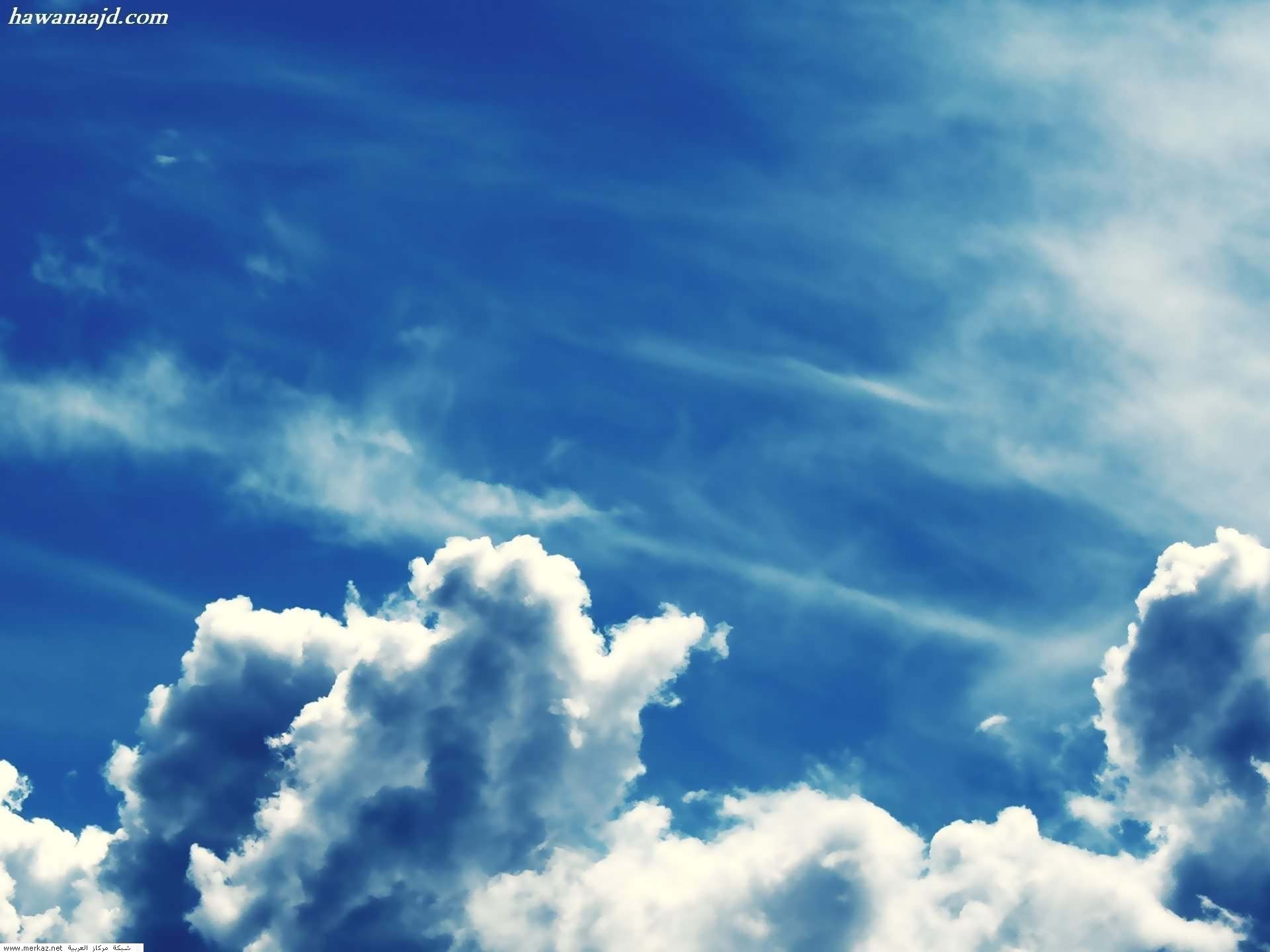 WallpapersNature_6_1_