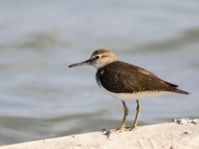 صور من ابداع اعضاء عمان فوتو