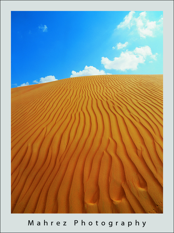 صور من ابداع اعضاء عمان فوتو