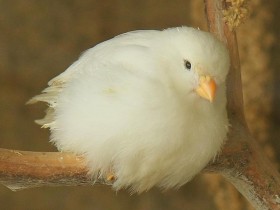صور منوعة من الإنترنت