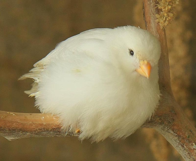 صور منوعة من الإنترنت