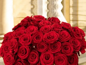50 long stem red roses