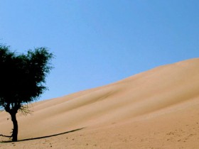صور من ابداع اعضاء عمان فوتو