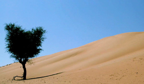 صور من ابداع اعضاء عمان فوتو