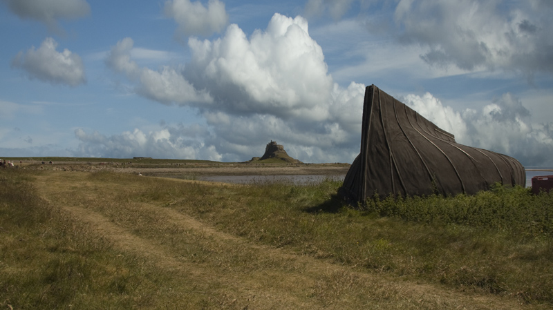 صور منوعة من الإنترنت