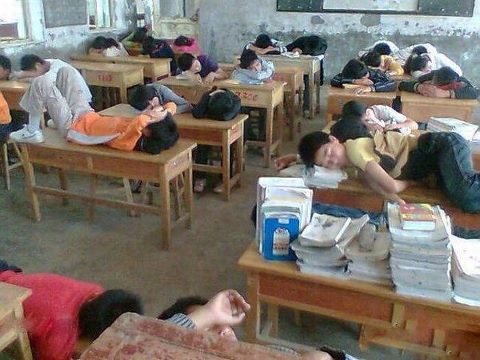 537431_558174587526728_1914923595_n