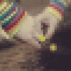 1ss1 TwwdVSQFw