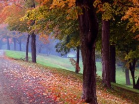 wm_normal_4_795625_1_