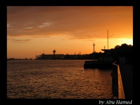 صور من ابداع اعضاء عمان فوتو