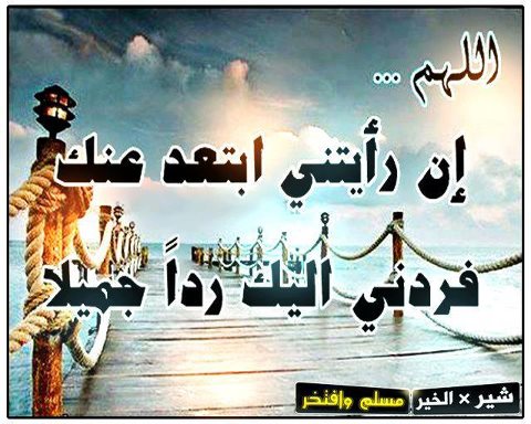 733745_539801226059862_424919999_n