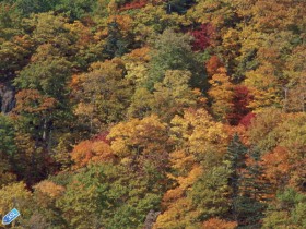 AA8_L-3SL-com_1_