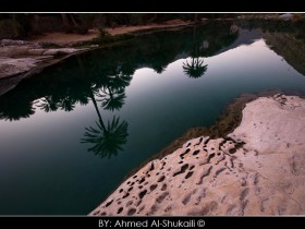 صور من ابداع اعضاء عمان فوتو