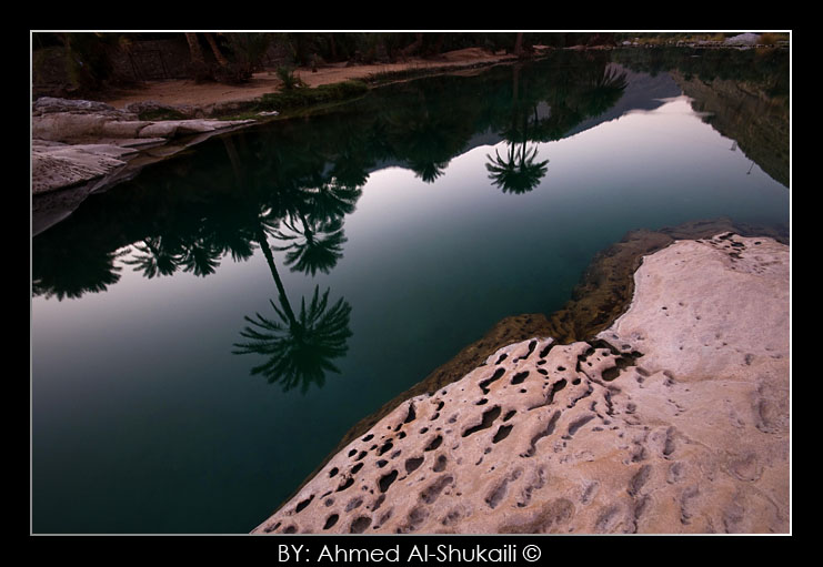 صور من ابداع اعضاء عمان فوتو