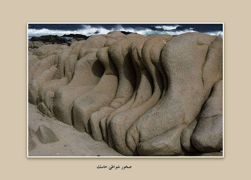 صور من ابداع اعضاء عمان فوتو