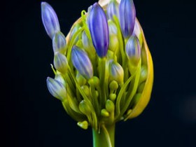 صور منوعة من الإنترنت