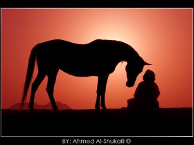 صور من ابداع اعضاء عمان فوتو