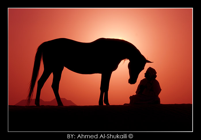 صور من ابداع اعضاء عمان فوتو