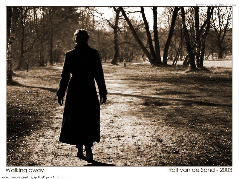 nice_pic_design_photo_102_1_