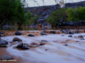 صور من ابداع اعضاء عمان فوتو