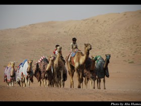 صور من ابداع اعضاء عمان فوتو
