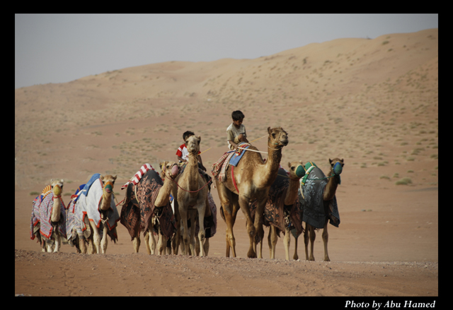 صور من ابداع اعضاء عمان فوتو