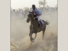 صور من ابداع اعضاء عمان فوتو