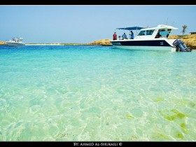 صور من ابداع اعضاء عمان فوتو
