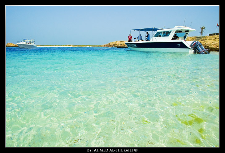 صور من ابداع اعضاء عمان فوتو