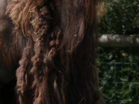 صور منوعة من الإنترنت