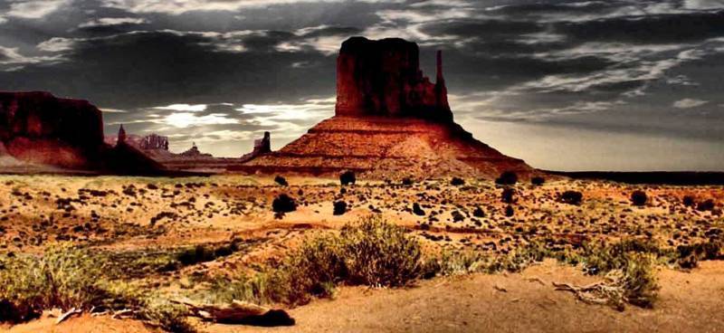 صور منوعة من الإنترنت