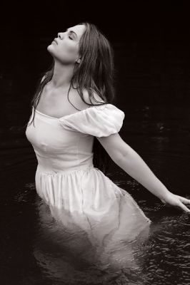 wh_372530682
