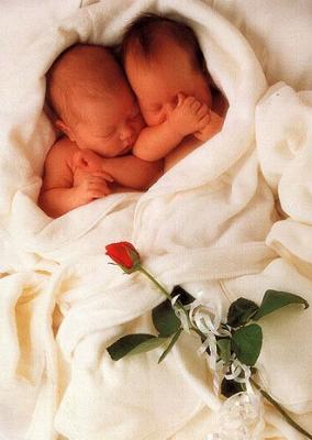 Baby-053