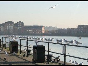 صور منوعة من الإنترنت