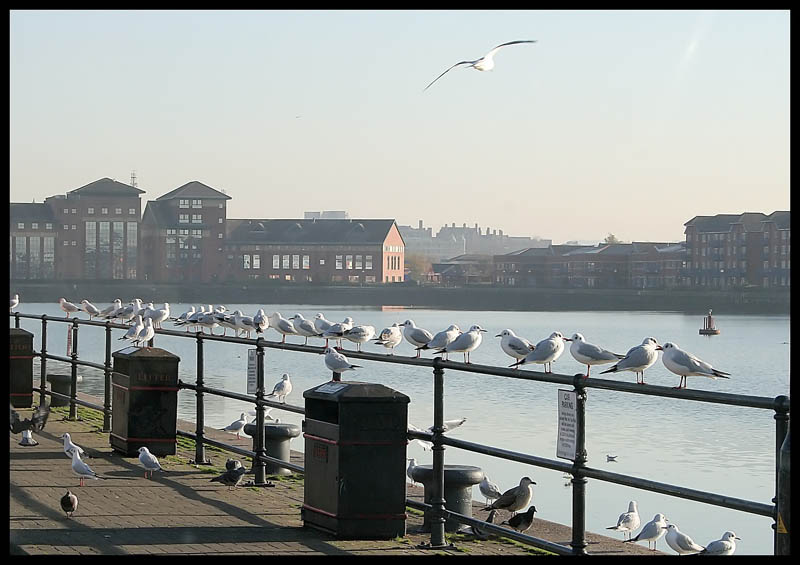 صور منوعة من الإنترنت