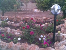 Image018
