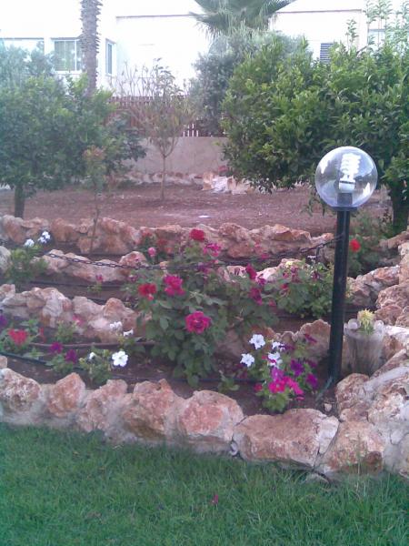 Image018
