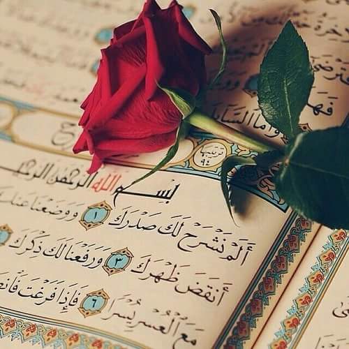 ربي يسر كل هم من كل مسلم