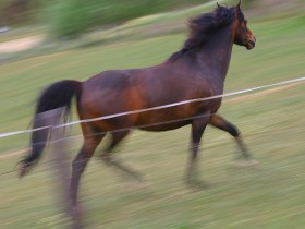 1371679-1aa6752b7d8c4b8a_1_