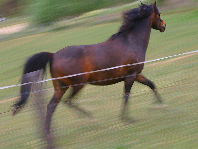 1371679-1aa6752b7d8c4b8a_1_