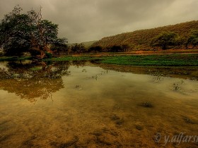 صور من ابداع اعضاء عمان فوتو